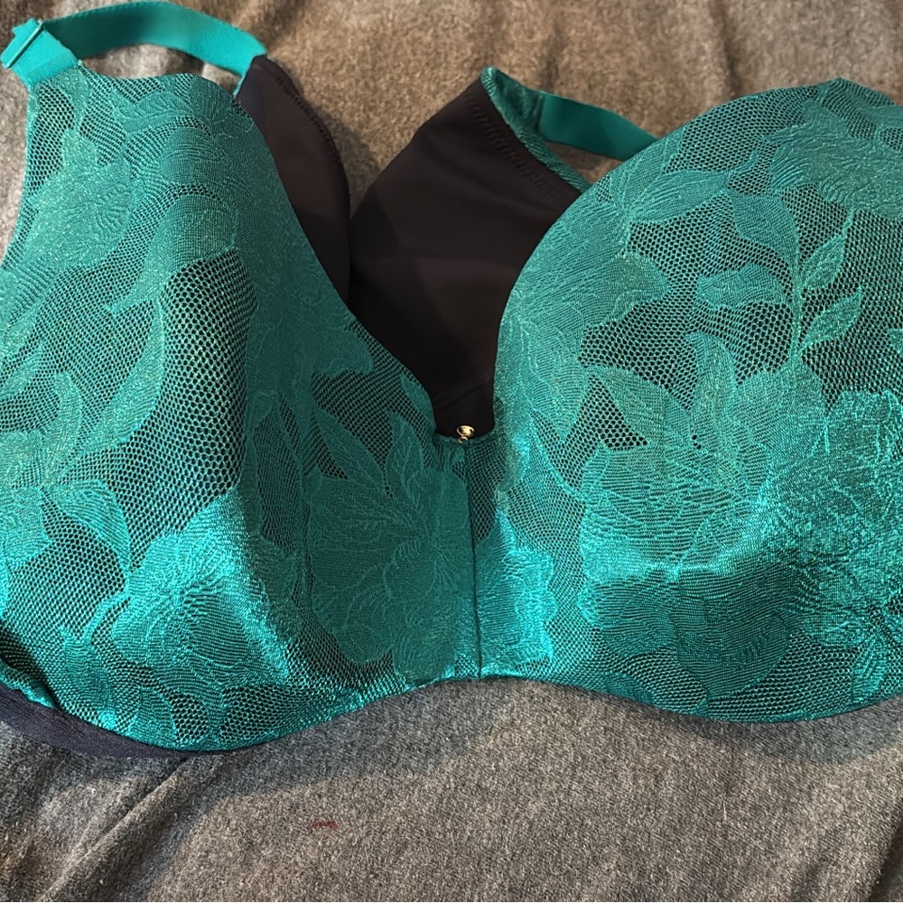 Lane Bryant Elegant Teal Lace Bra